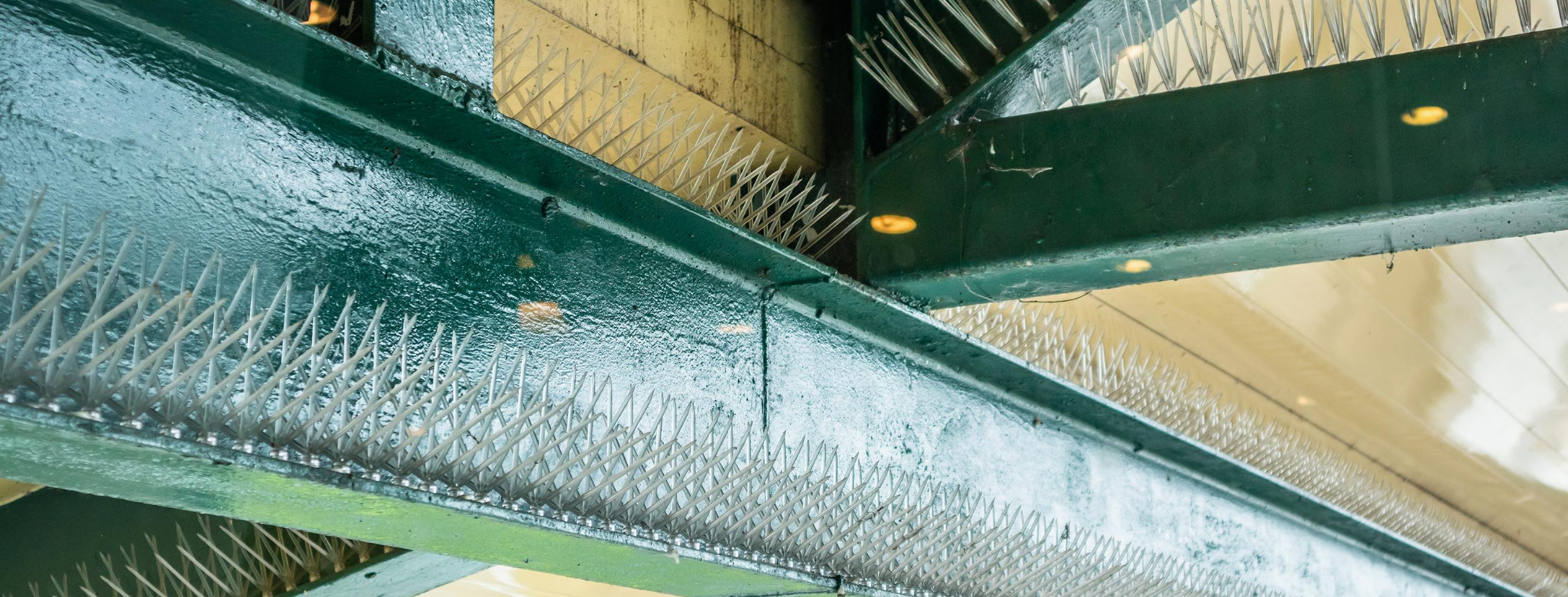 bird netting installation