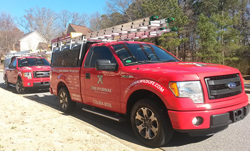xceptional wildlife fleet